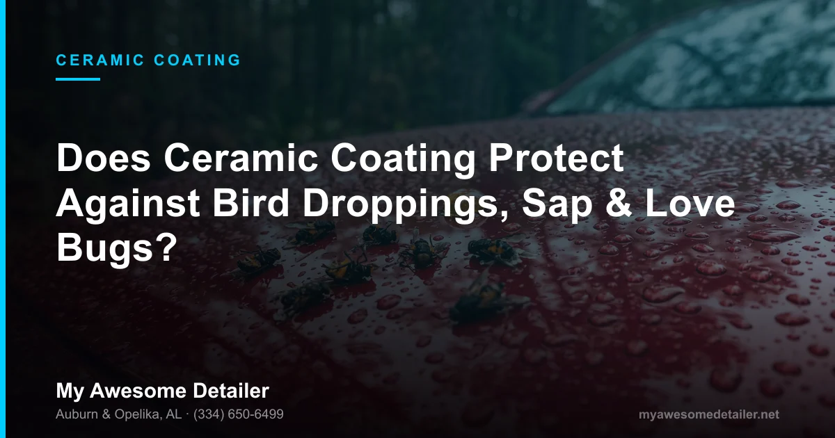 Ceramic coating protection against bird droppings, tree sap and love bugs on vehicle paint, from My Awesome Detailer, Opelika AL
