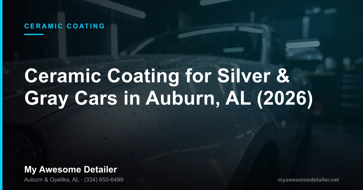 Ceramic coated silver metallic car with deep swirl-free reflection at My Awesome Detailer in Opelika Alabama after full paint correction